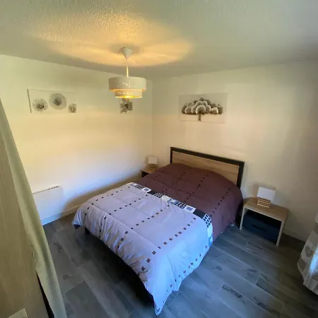 Bel A Chatel, Proche Centre Et Remontees Mecaniques, Avec Balcon Et Parking - Fr-1-693-3 *